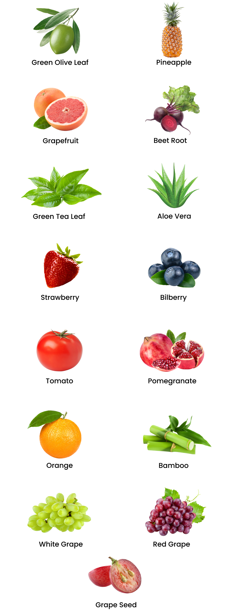 Ingredients