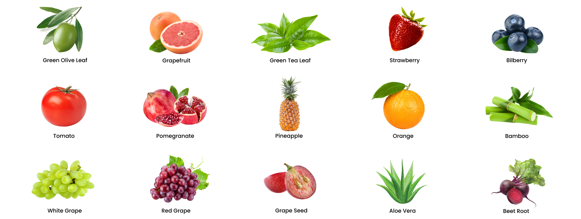 Ingredients